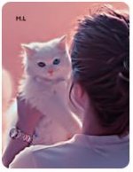 ������ ������� ���� ����