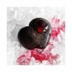 ������ ������� ���� ������