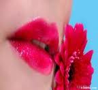 الصورة الرمزية سفيرة الحب