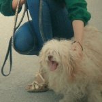 ������ ������� ���� �����