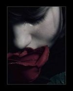 ������ ������� ���� �����