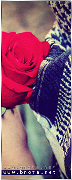 ������ ������� ��� ���