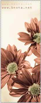 ������ ������� ��� ����