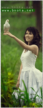 ������ ������� ���� ����..