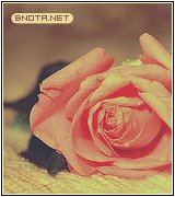 ������ ������� **����**