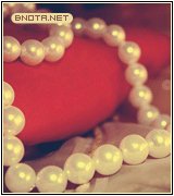 ������ ������� ����� ���� ���