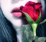 ���� ����� ����