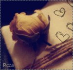 ���� ����