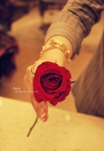 الصورة الرمزية ~ســآرونـه~