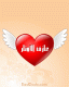الصورة الرمزية عازف الاوتار