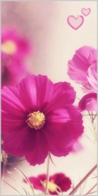 ������ ������� ������