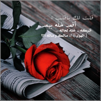 87cf7c1a85b82a9af80b5add41f99959