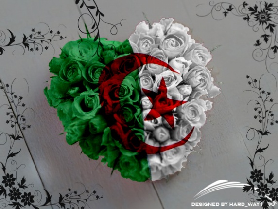 18ebeb454af39978eda2facf9e4f44ff