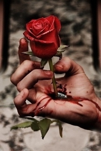 user10993 pic557 1232686993