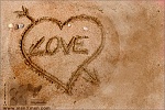 msn 35cbf29746