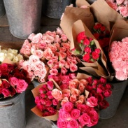 ��������������