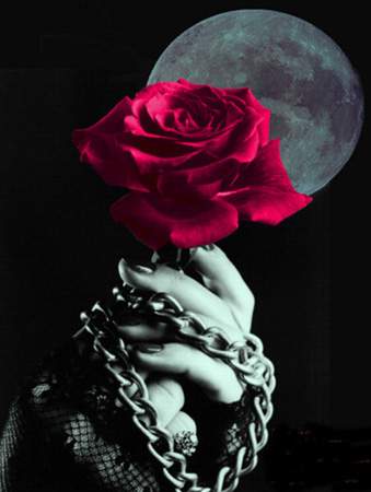 user10993 pic653 1233416358